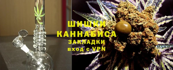 твердый Горняк