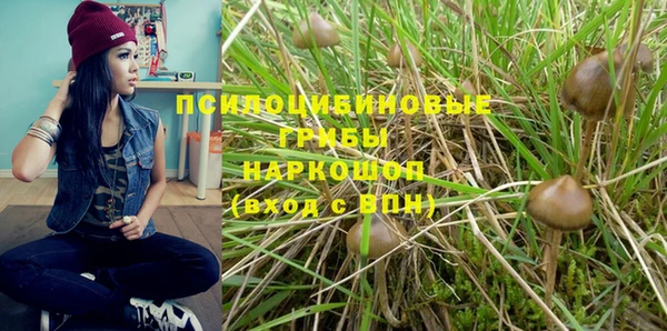 стафф Липки