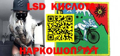 шишки Апшеронск