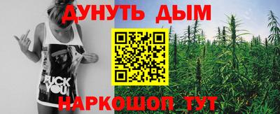 шишки Апшеронск