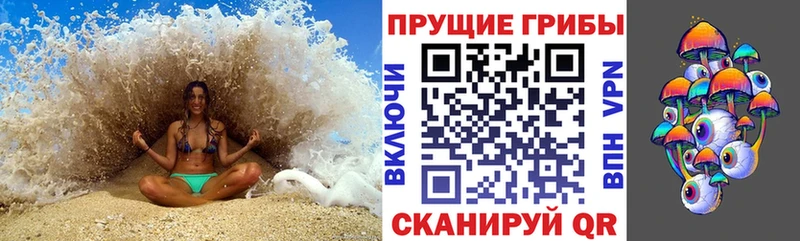 Псилоцибиновые грибы Cubensis  Димитровград 