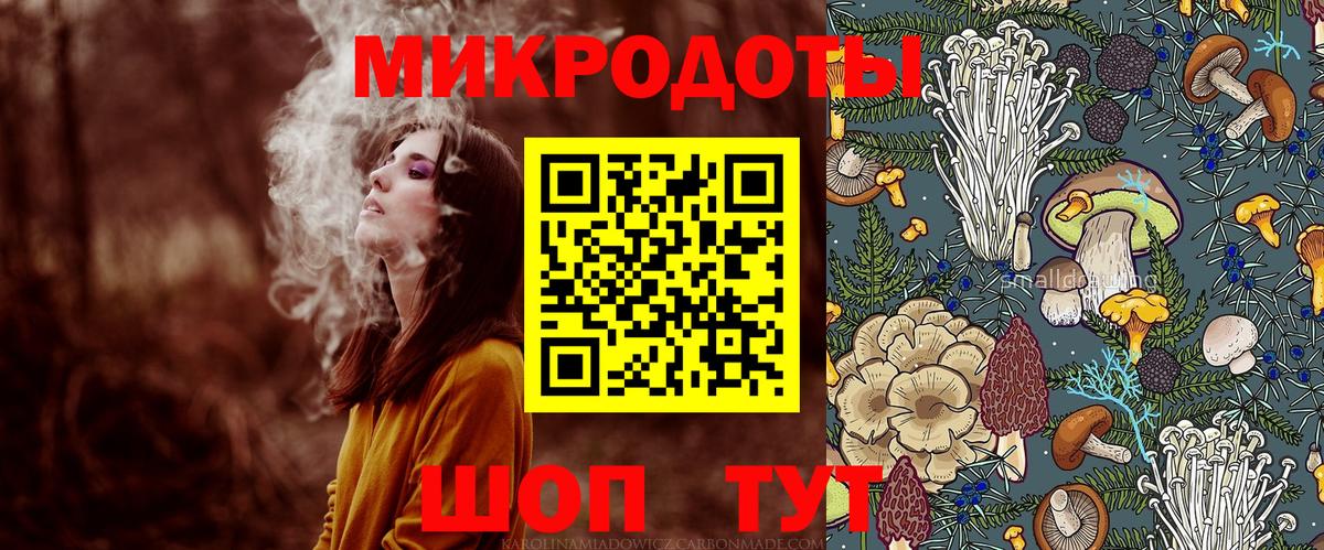Псилоцибиновые грибы Psilocybine cubensis Димитровград