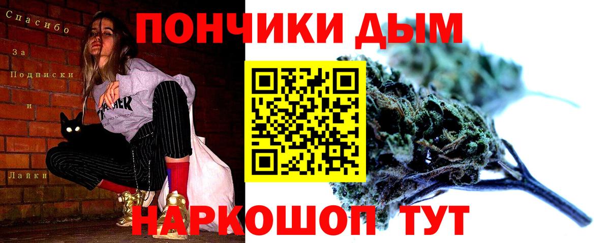 Димитровград  Марихуана сатива  Марихуана план  Бошки марихуана VHQ  Бошки марихуана Amnesia  Вход с VPN 